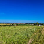 Scenary of the Buzias 10k trail race